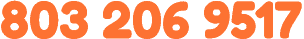 8032069517